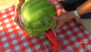 watermelon smoothie hack